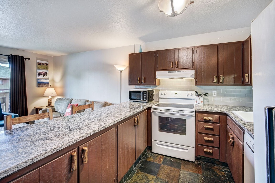 Property Photo: 1003 Straight Creek Drive 202 CO 80435
