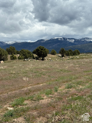 Unknown  Spring City UT 84662 photo