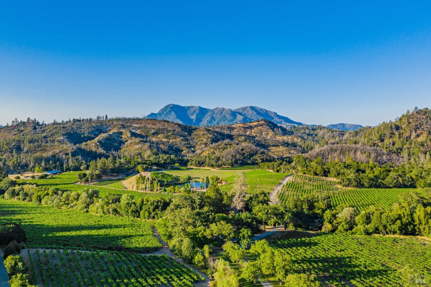 8320 Franz Valley Road  Calistoga CA 94515 photo