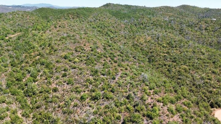 Property Photo:  8519 Maranatha Lane  CA 95245 