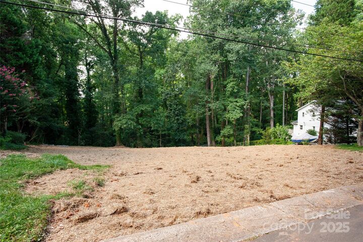 137 Meadowbrook Lane 4  Davidson NC 28036 photo