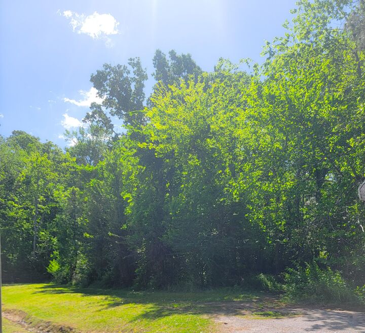 0 Singletary Avenue  Moncks Corner SC 29461 photo