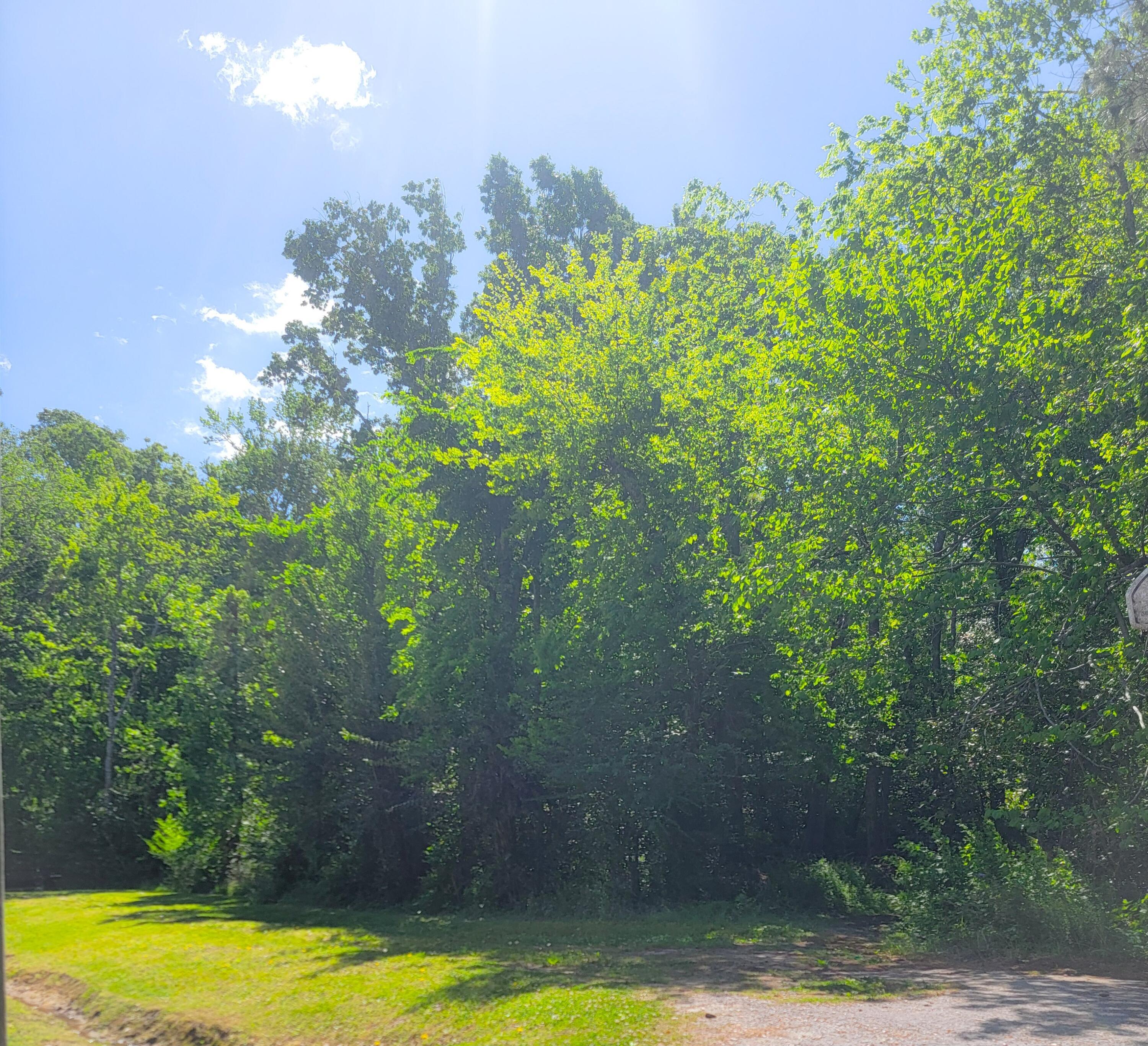 Property Photo: 0 Singletary Avenue SC 29461
