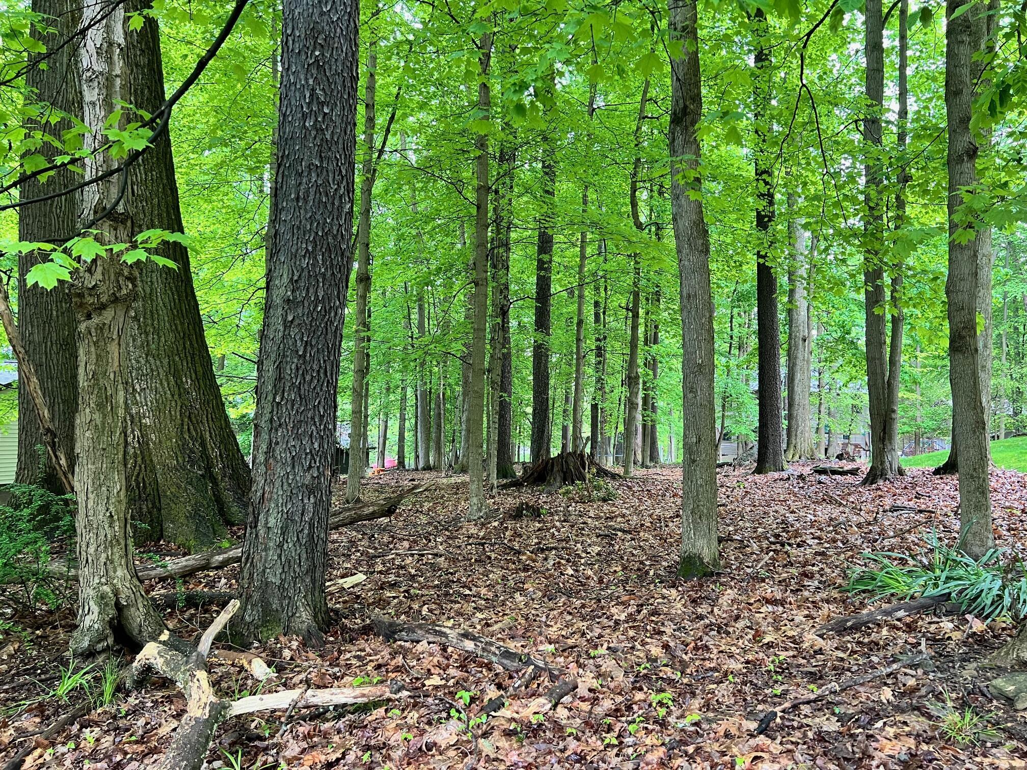 Property Photo:  1 Treasure Lake Rd  PA 15801 