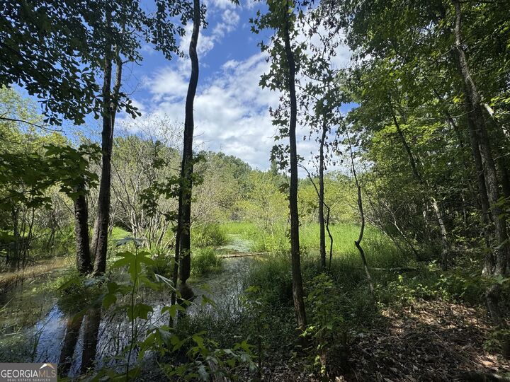 Property Photo:  353 Parham Road  GA 31830 