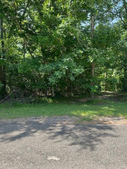 Property Photo: Lot 13 &Amp 14 Big Lake Drive TX 77351