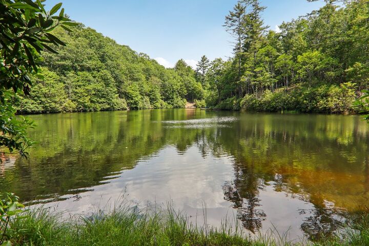 Property Photo: 219 Hiwassee Road NC 28747
