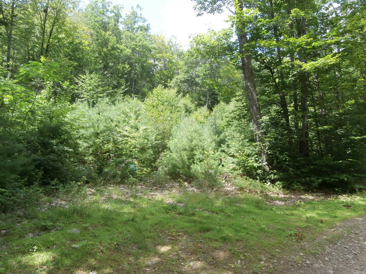 Property Photo:  Lot 005 Hebo Hybo Road  ME 04001 