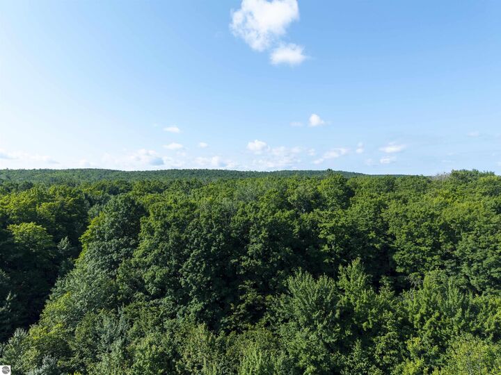 13-B Plainfield Trail  Elmira MI 49730 photo