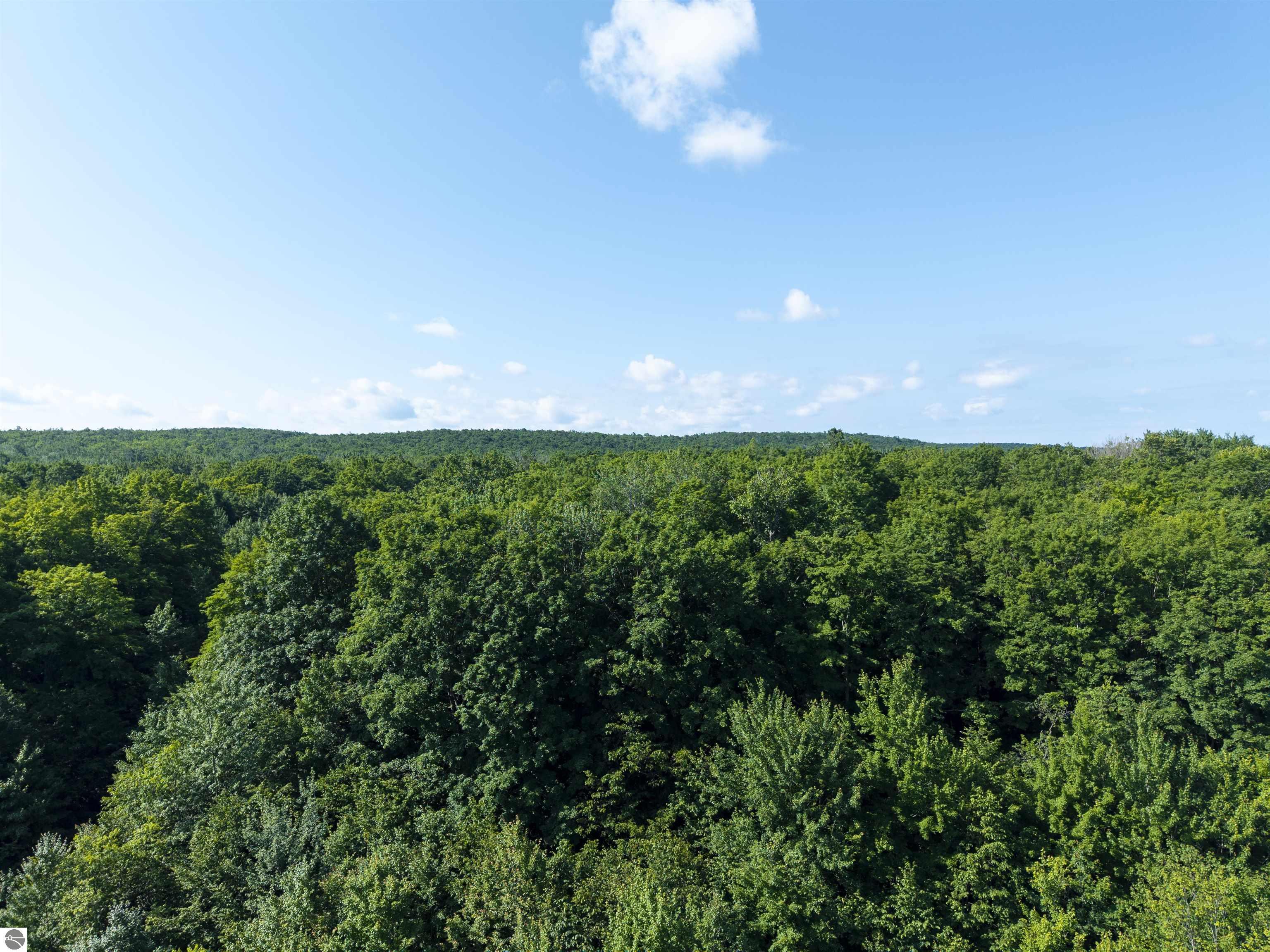 Property Photo: 13-B Plainfield Trail MI 49730