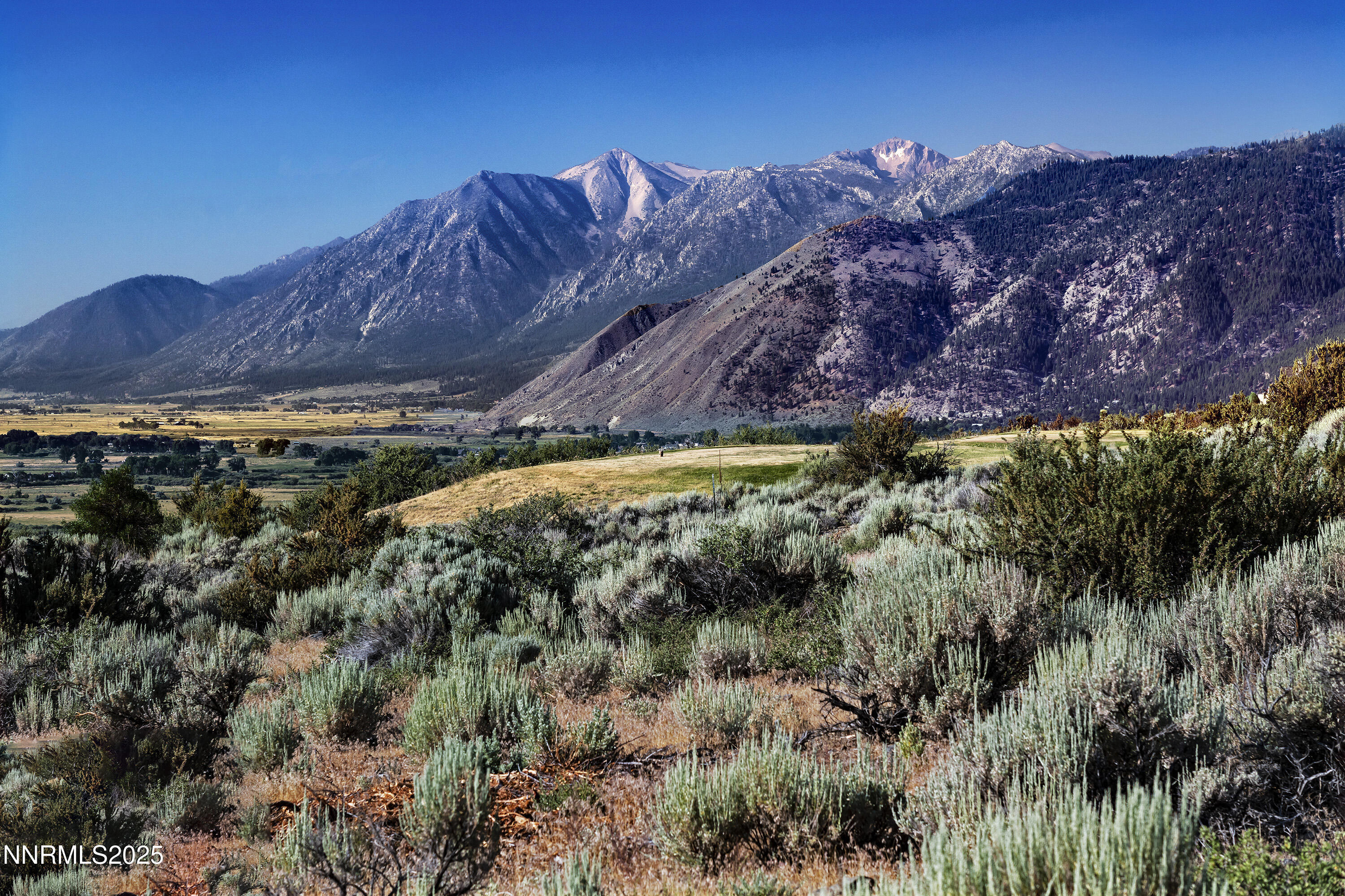 Property Photo: 343 James Canyon Loop NV 89411