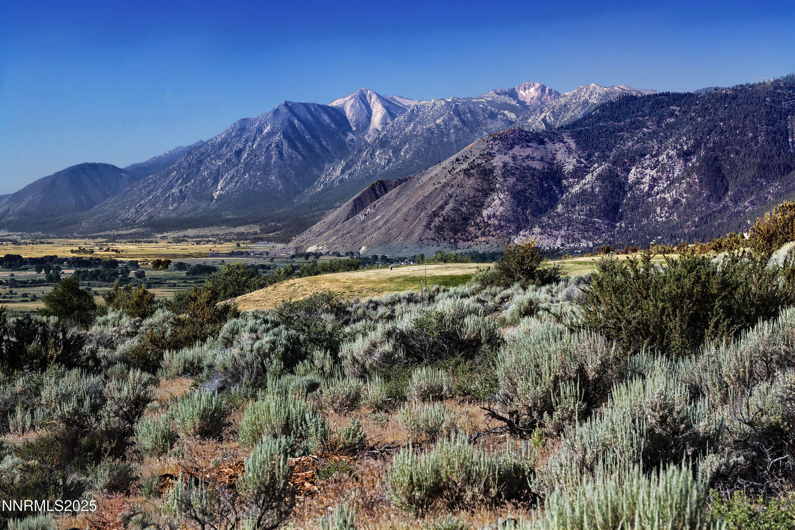 Property Photo: 343 James Canyon Loop NV 89411