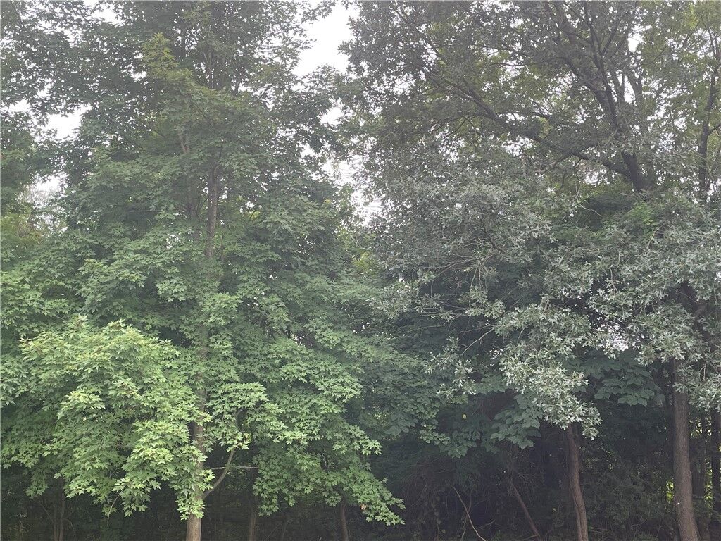Property Photo:  Rustic Drive  AR 72756 