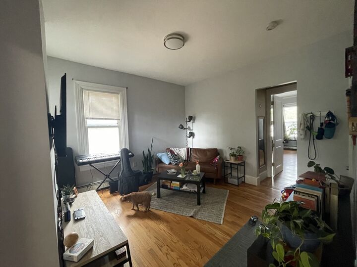 Property Photo:  43 Clifford St 2  MA 02119 