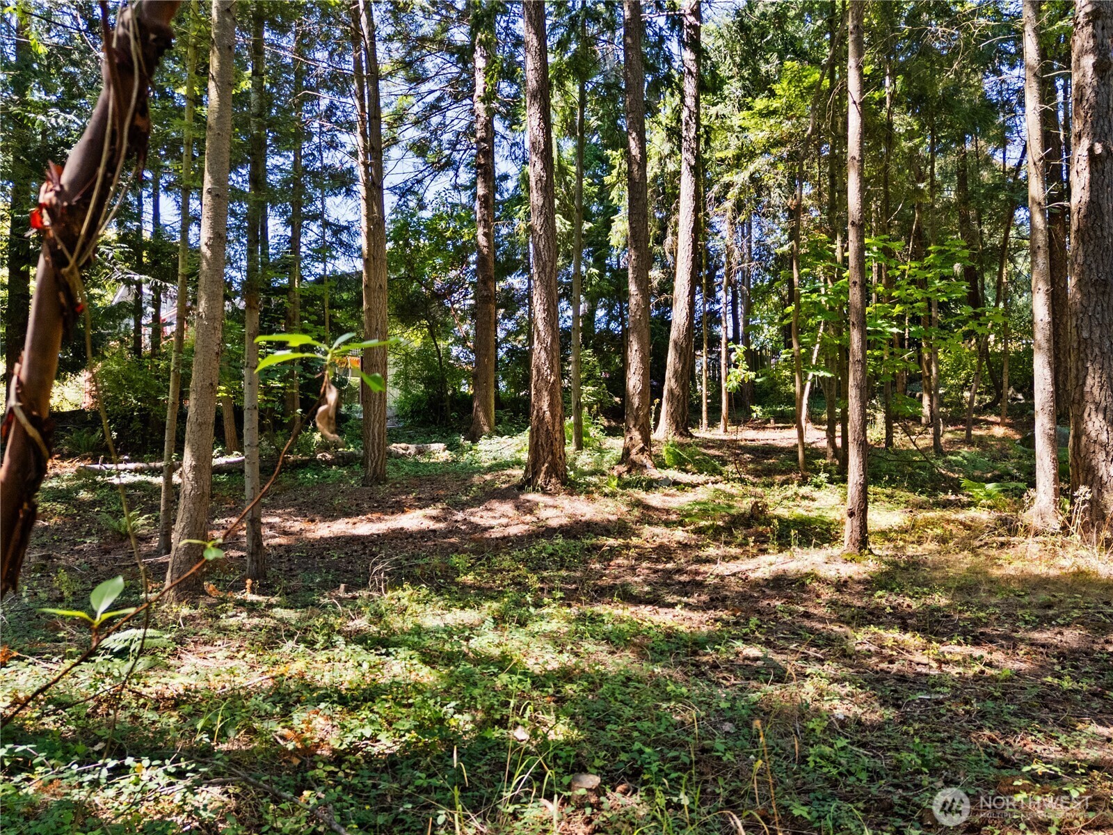 Property Photo: 629 Shushwap Lane WA 98257