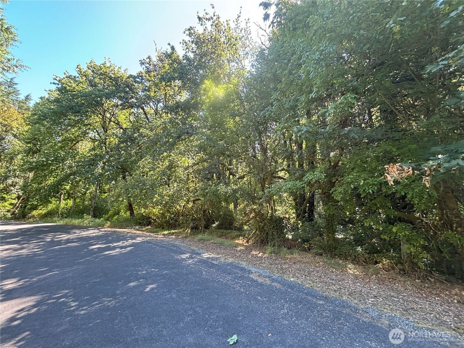 Property Photo: 0 Hill Creek Road WA 98611