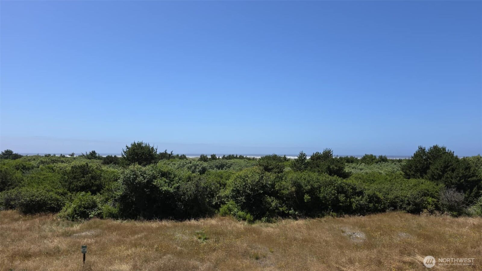 Property Photo:  615  Ocean Shores Boulevard NW 315  WA 98569 