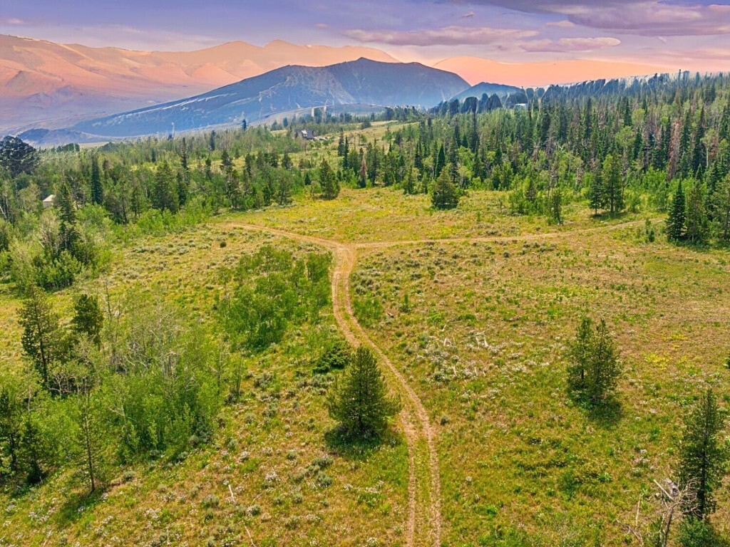 Property Photo: Tbd Spring Creek Ranch Rd CO 80498