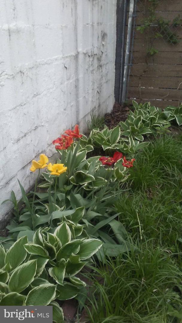 Property Photo: 1428 N Willington Street PA 19121