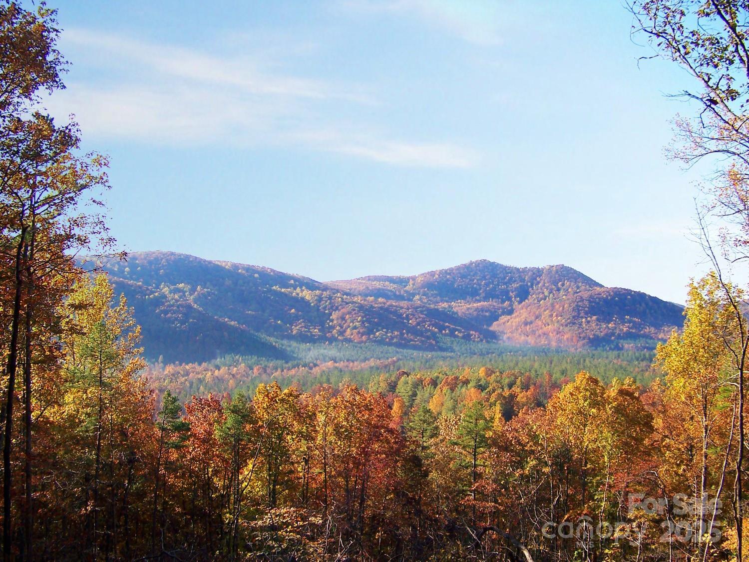 Lot 333 Scenic Vista Drive 333  Nebo NC 28761 photo