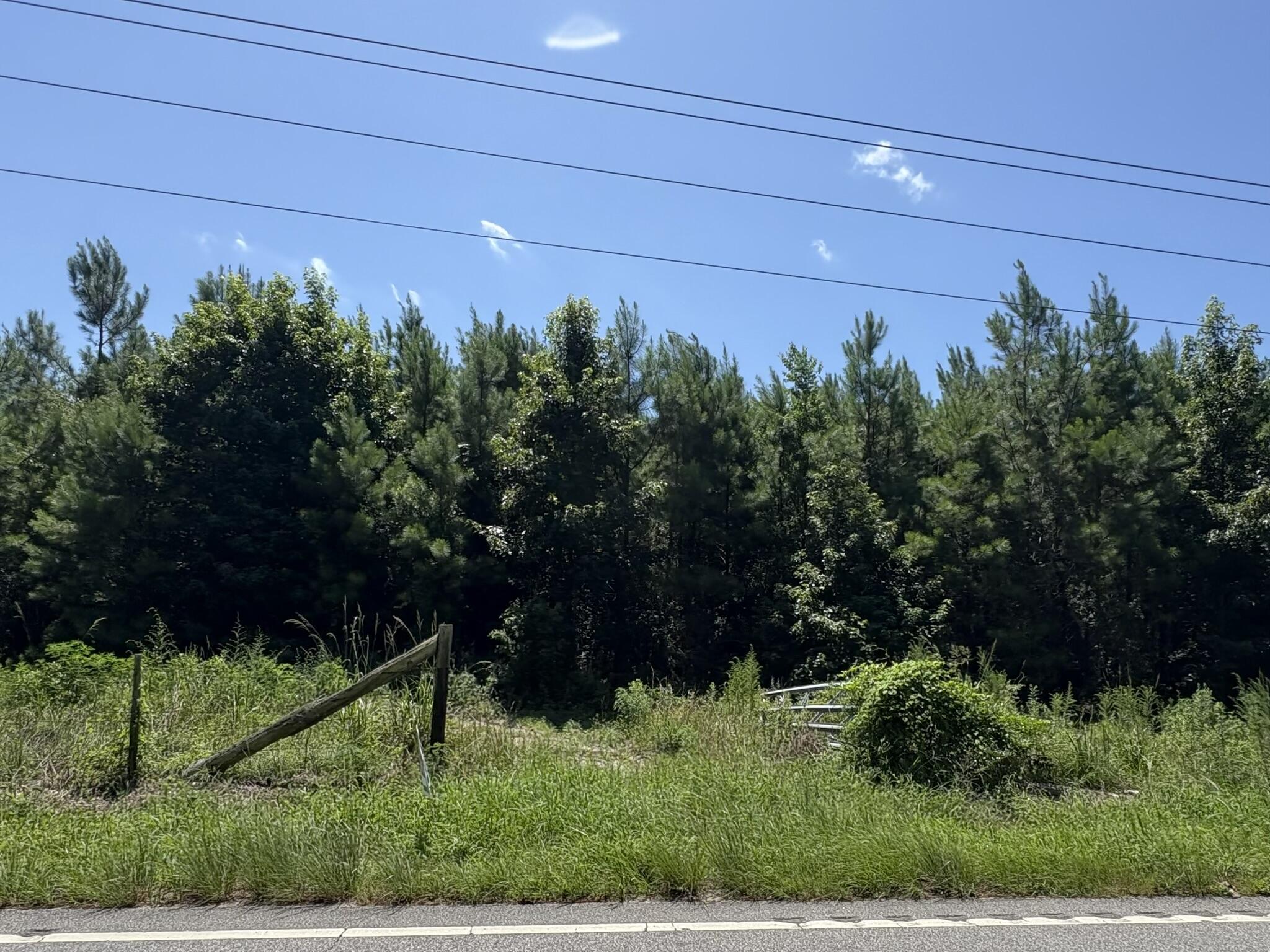 Property Photo: 00 Mudville Road SC 29436
