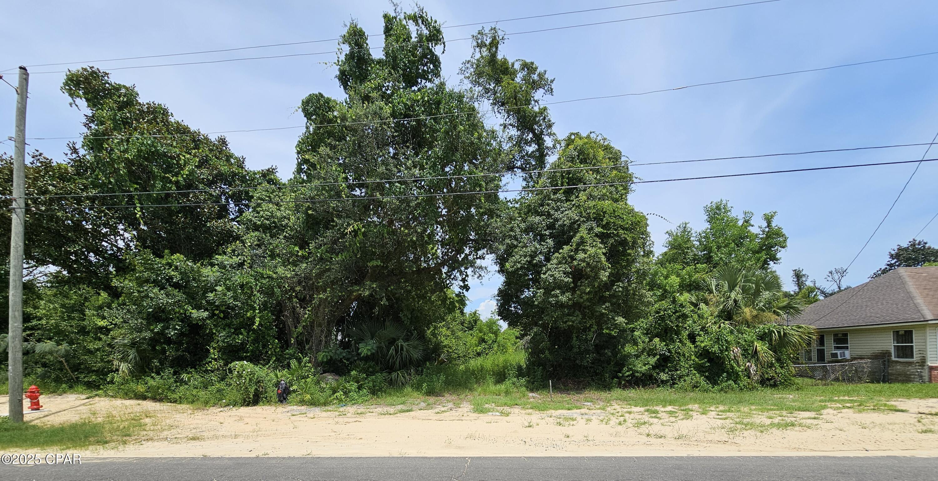 Property Photo: Lot 11 Everitt Avenue FL 32401