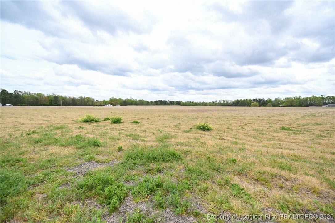 Property Photo: 95 Mamie Road NC 27504