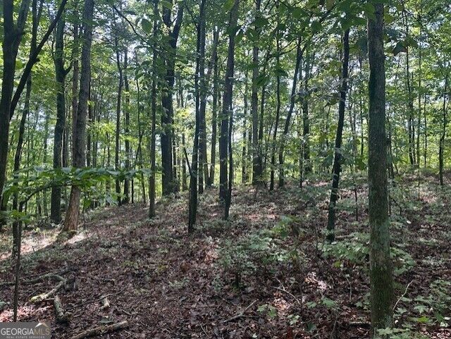 Property Photo:  Tr3 - 3.83 Acre Wendy Hill Road  GA 30175 