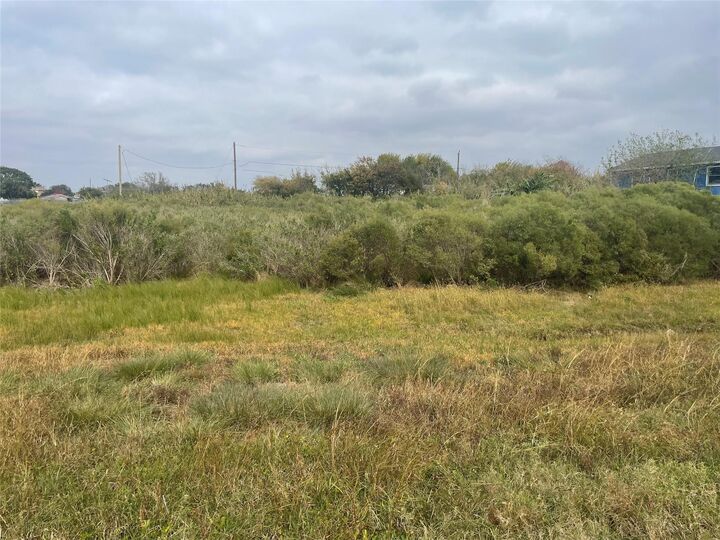 Property Photo:  0 Hwy 6  TX 77563 