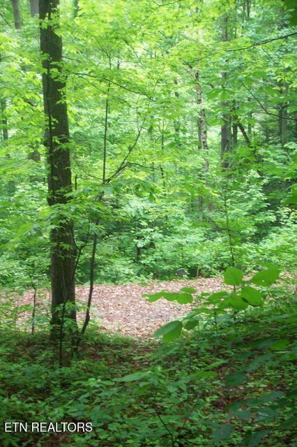 Property Photo: 483 Chetola Trail TN 37882