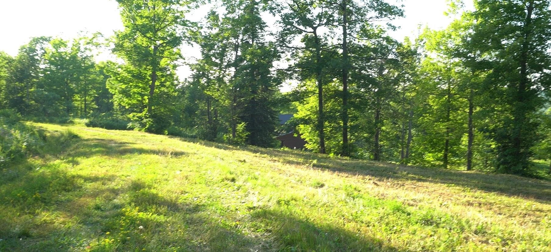 Property Photo: 83xxx Ashwabay Heights Rd Lot 6 WI 54814