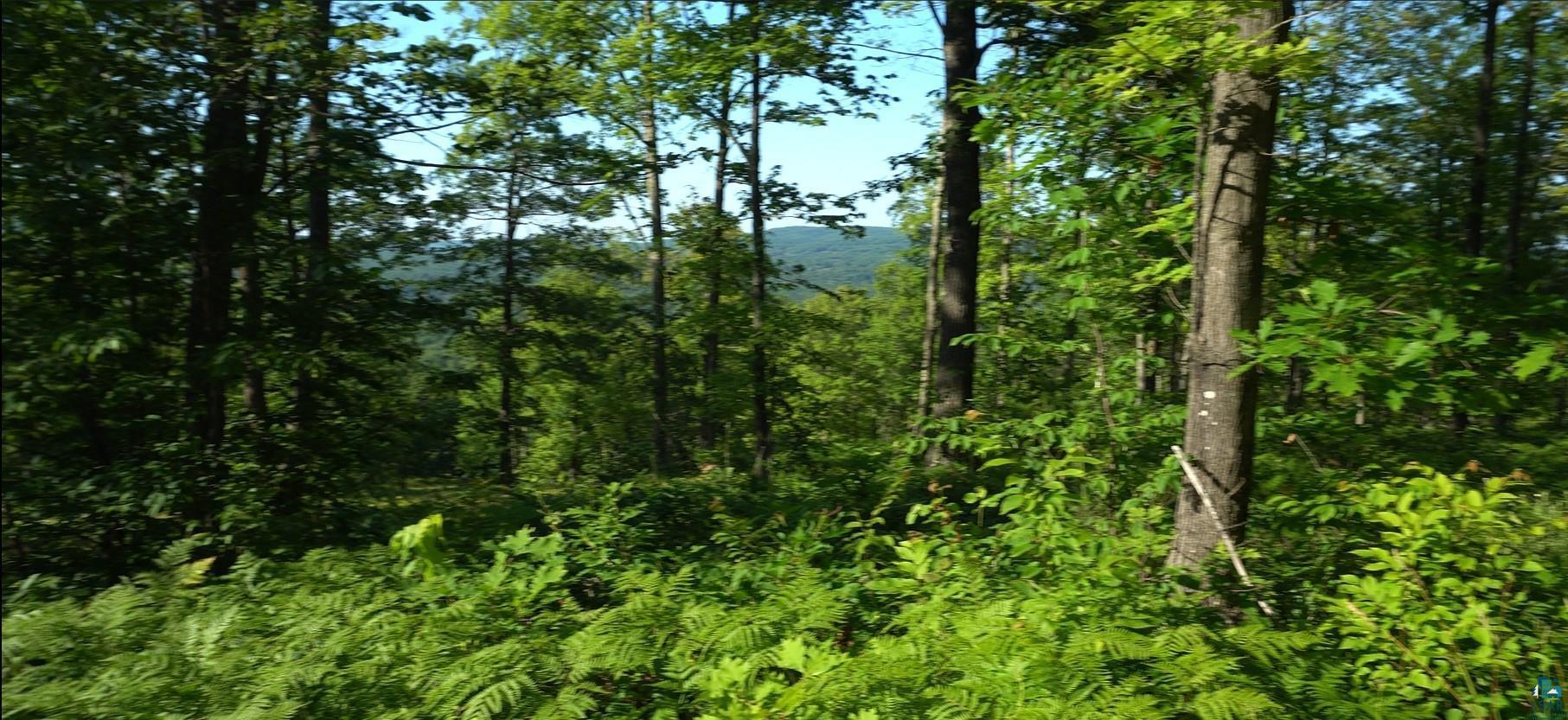 Property Photo: 83xxx Ashwabay Heights Rd Lot 12 WI 54814