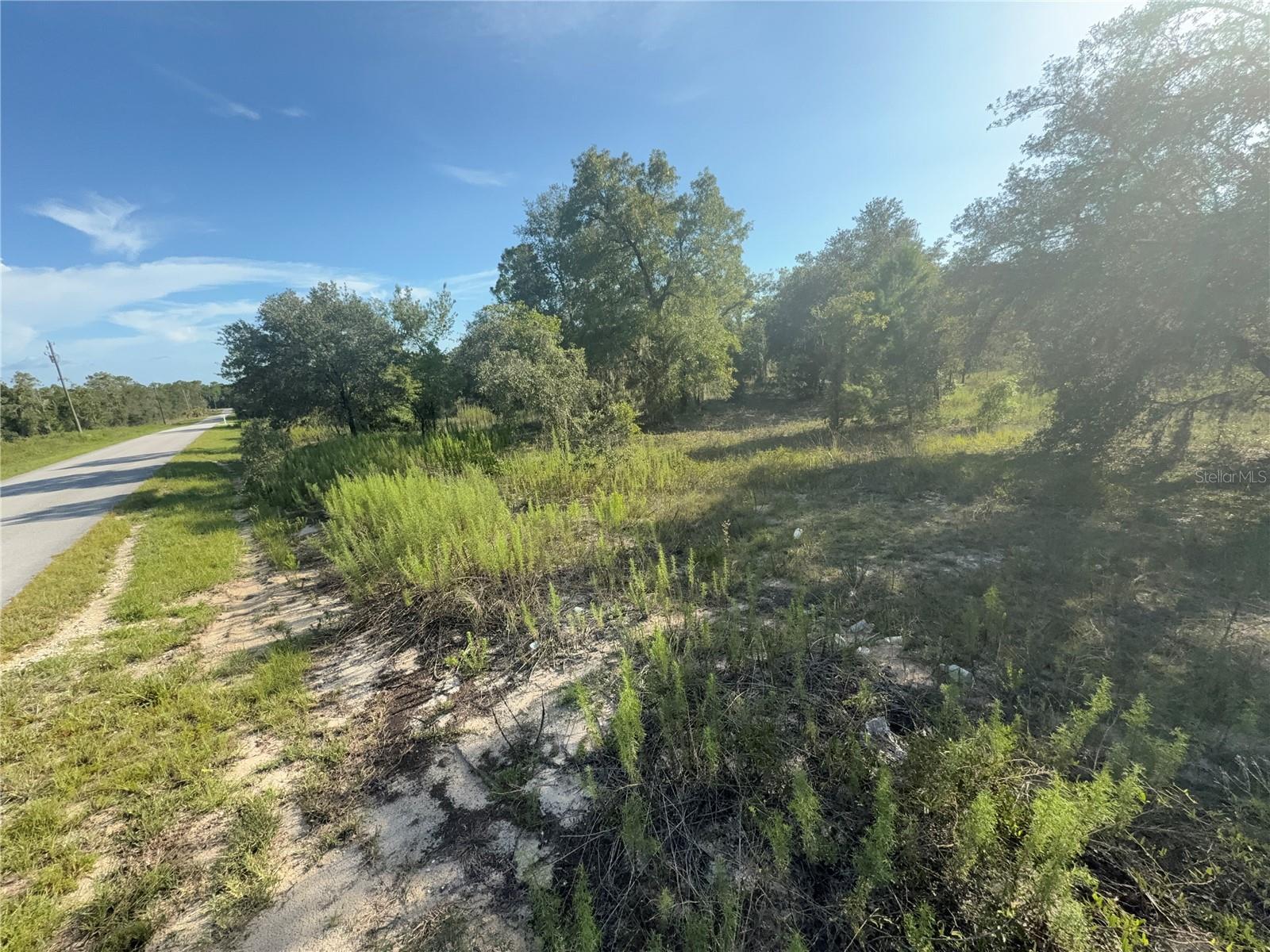 Property Photo:  SW Winding Hills Road  FL 34431 