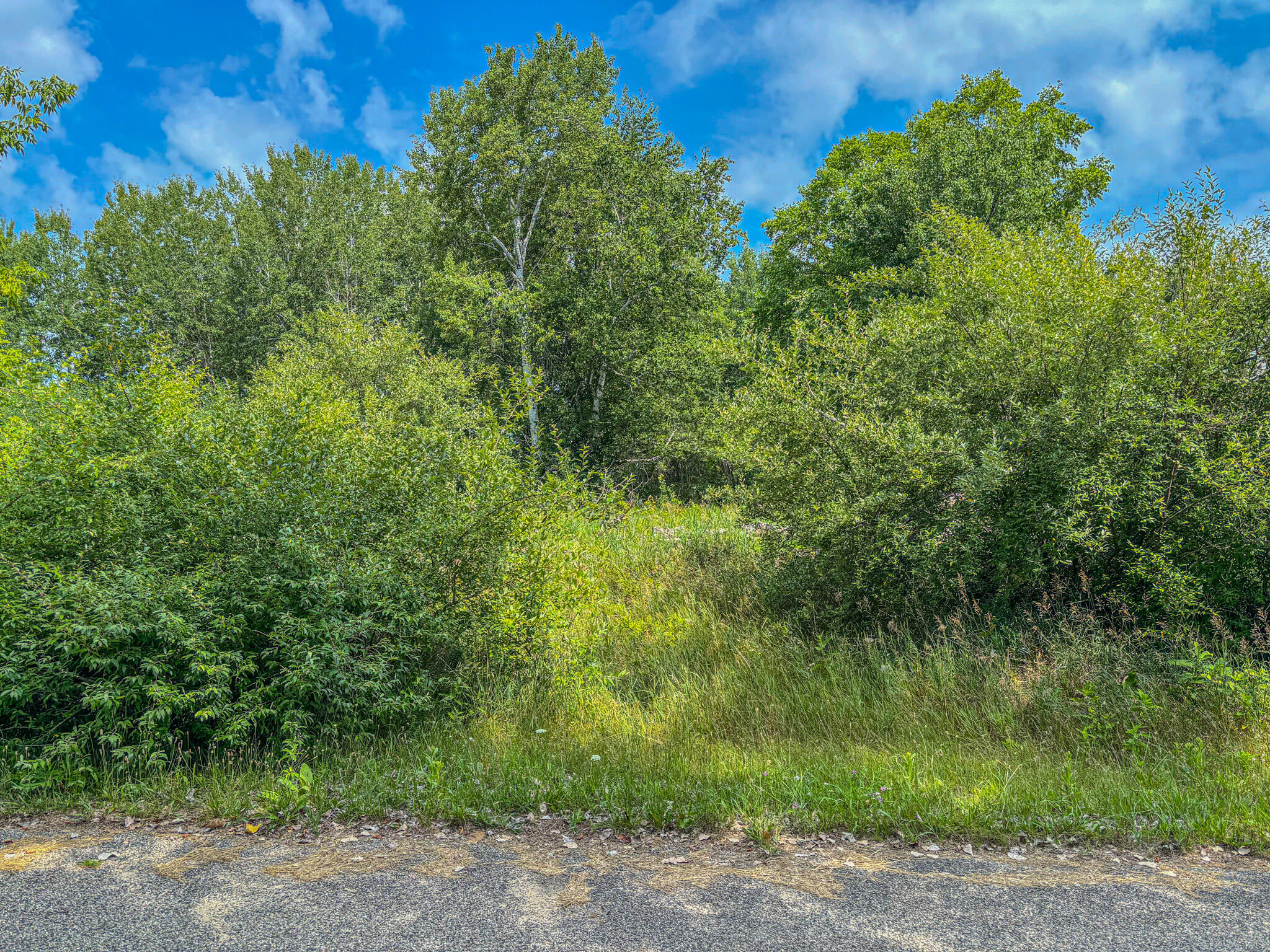 Property Photo: 11580 Tanglewood Trail S. #24 MI 49346