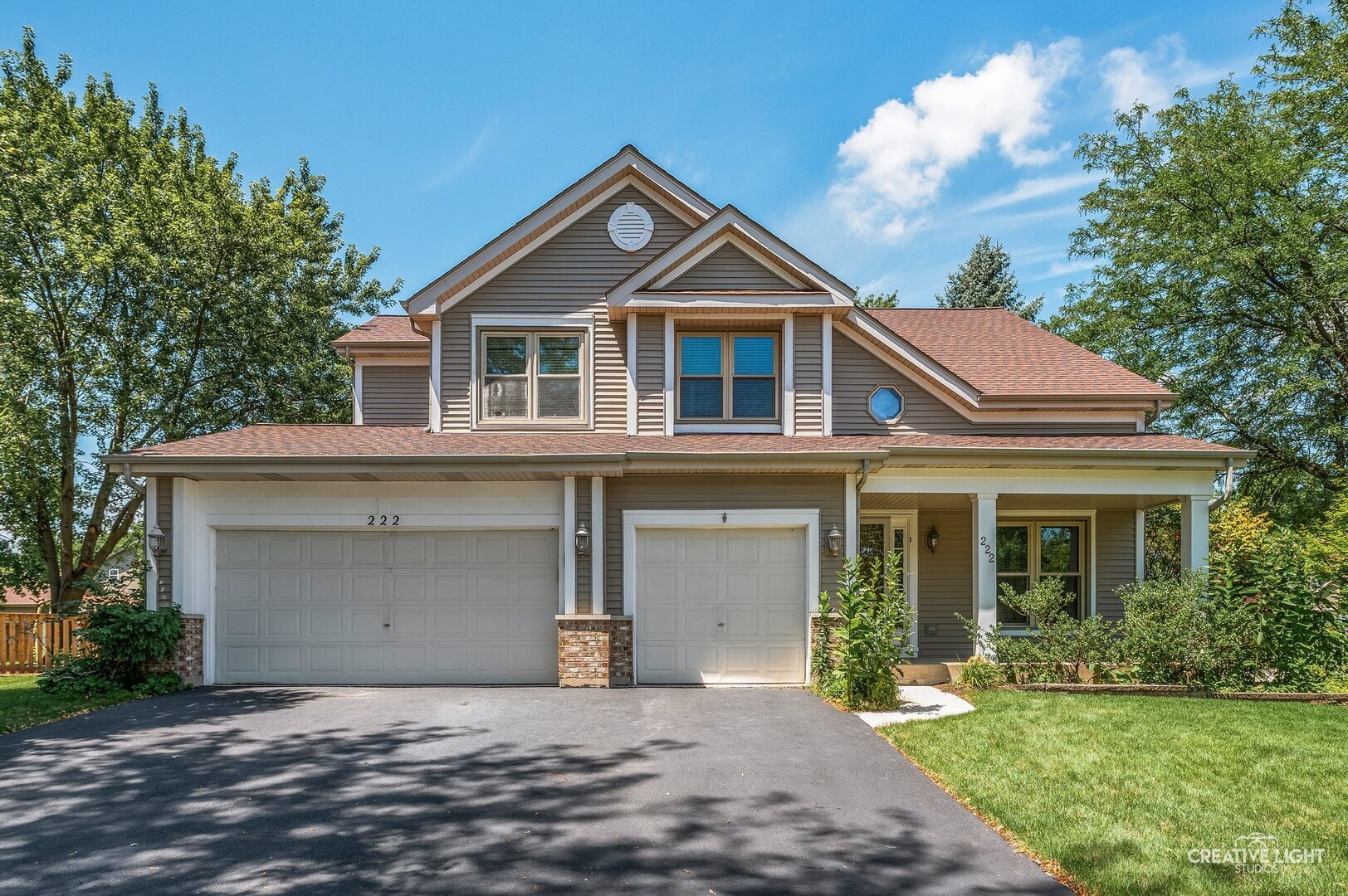 Property Photo:  222 Mondovi Drive  IL 60543 