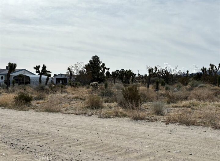 Property Photo: 0 Mono Road CA 92372