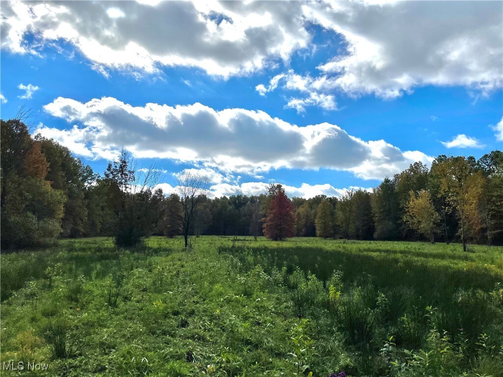 Property Photo: Vl Parsons Road OH 44044