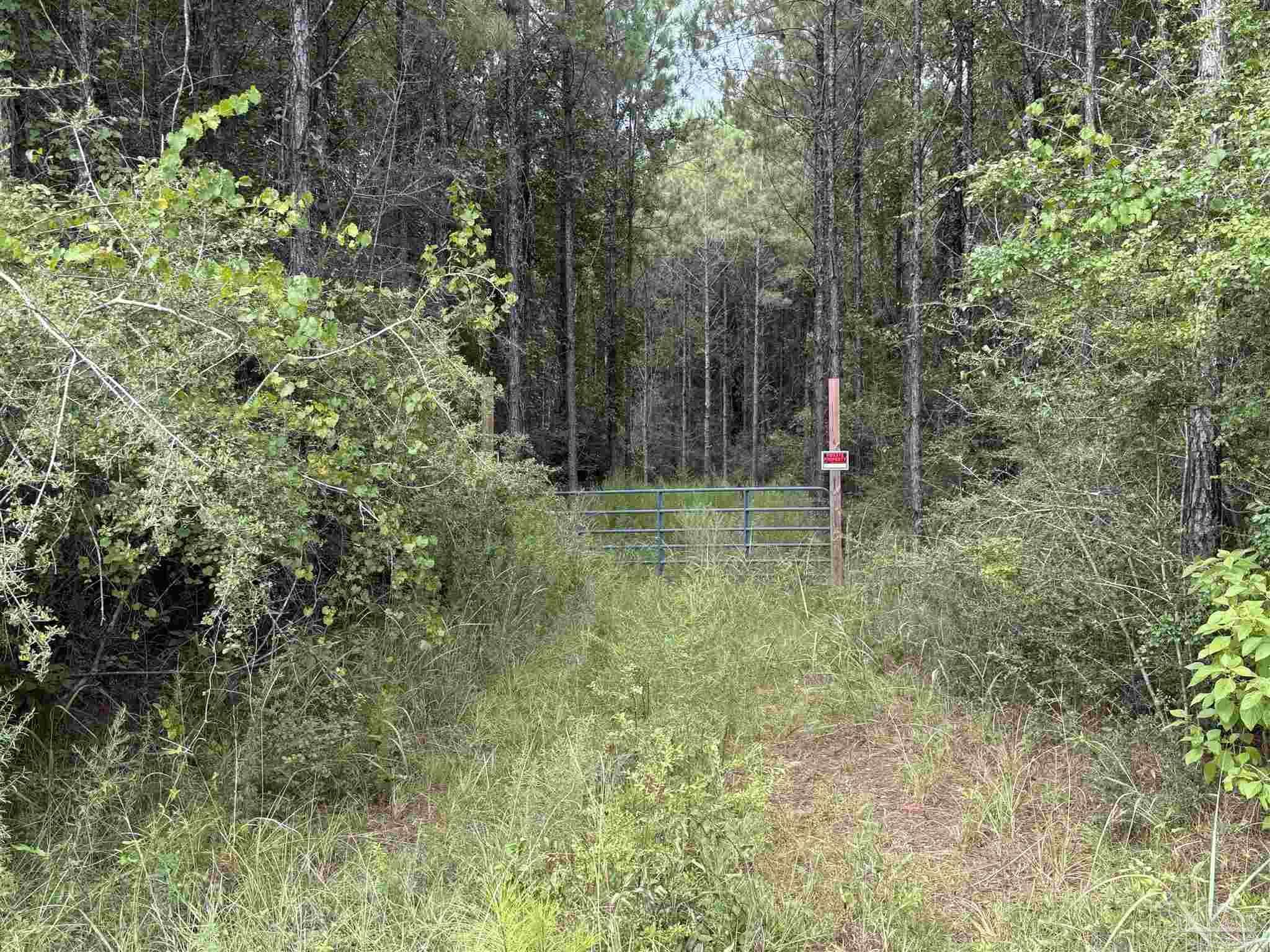 Property Photo: 000 Indian Ford Rd FL 32570