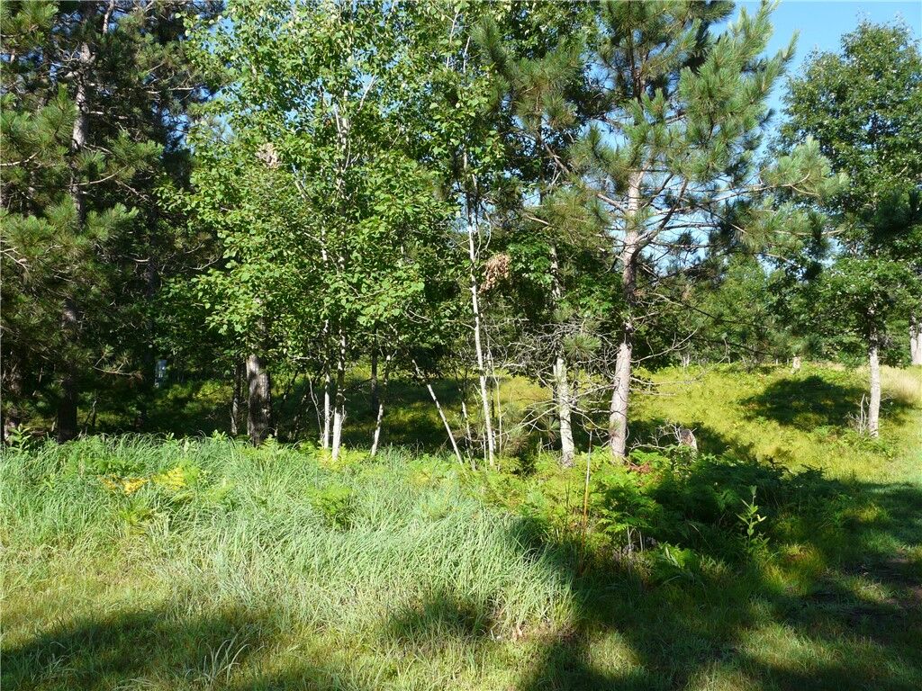 Property Photo: Tbd Treasure Island Drive WI 54830