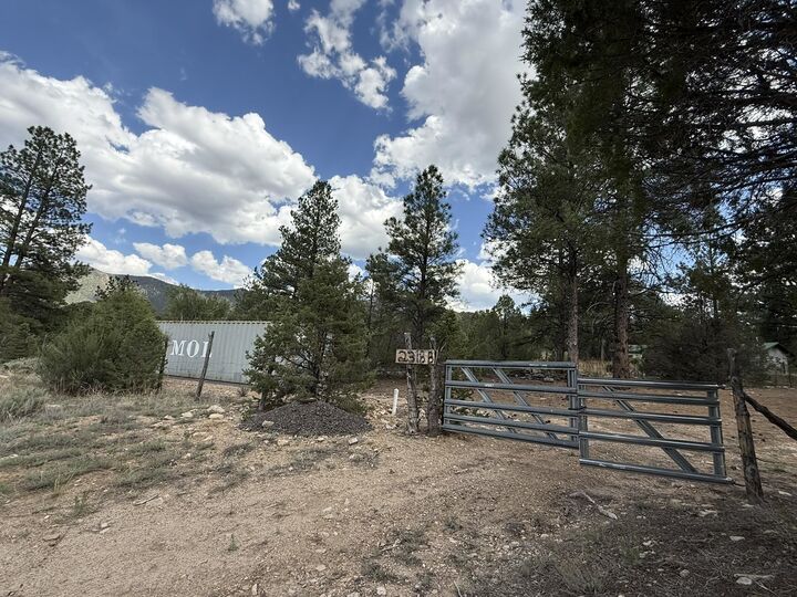 Property Photo: 2318 Old Red River Road B NM 87556