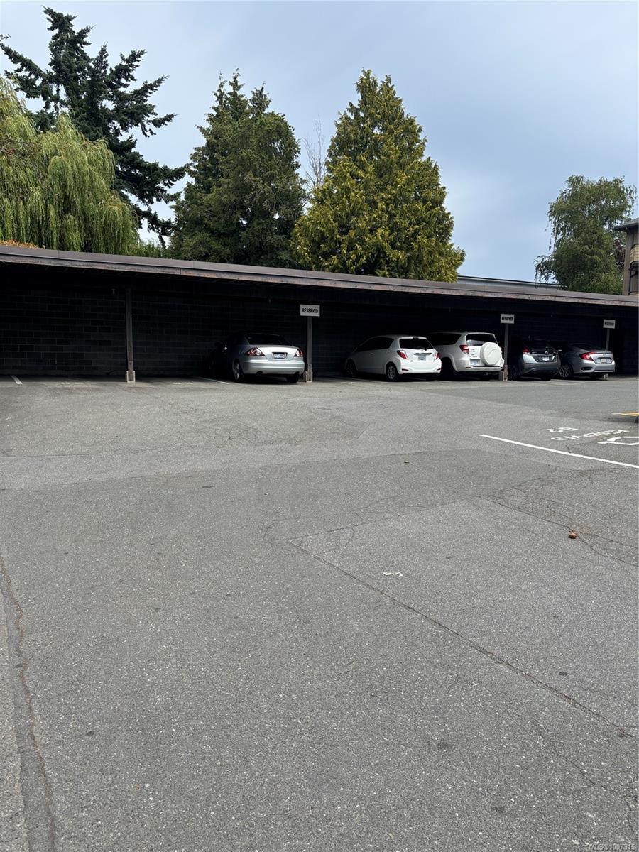Property Photo: 3225 Alder St 308 BC V8X 1P3