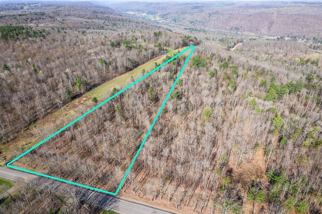 Property Photo: Breed Hollow Road NY 14902