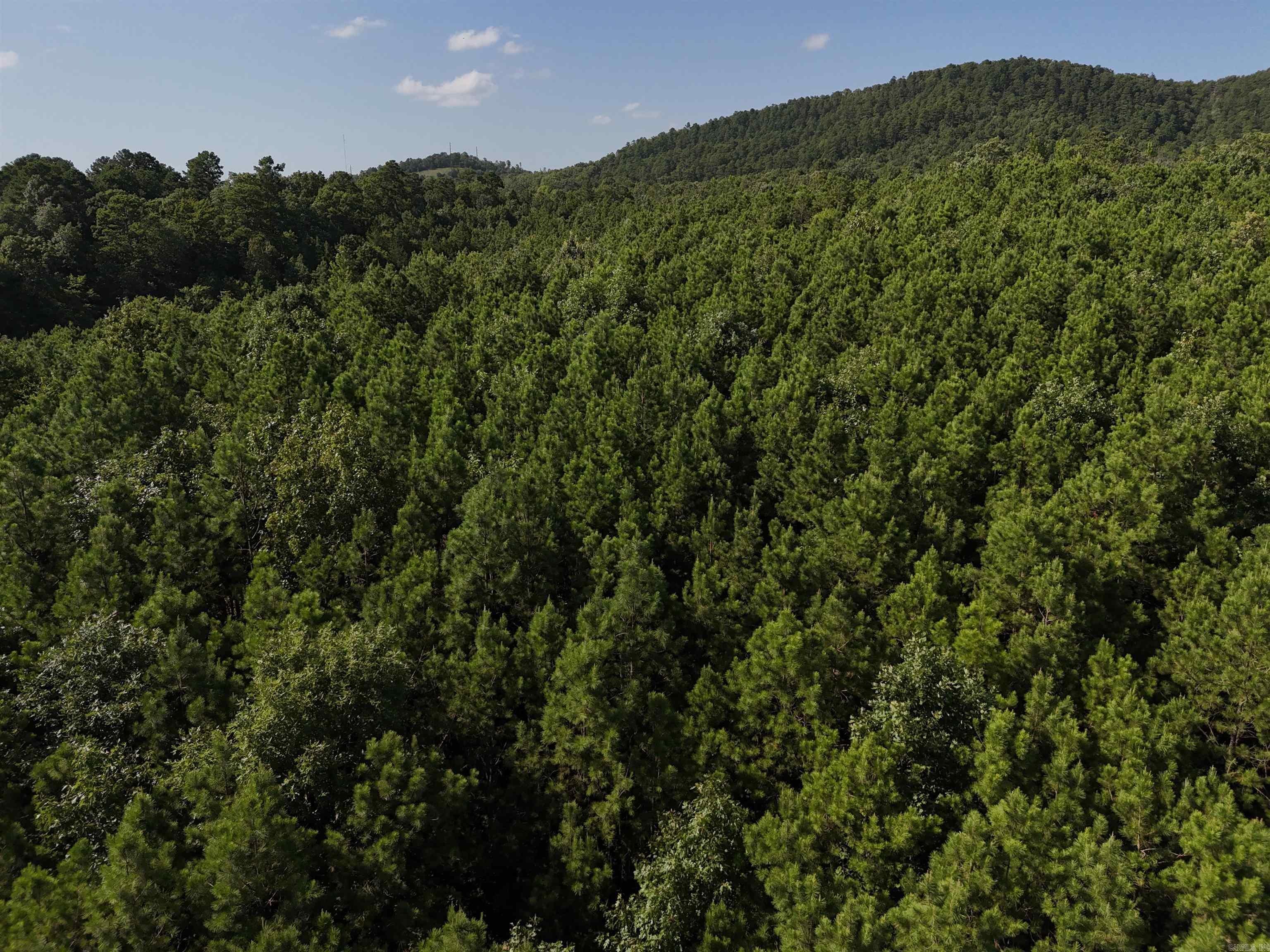 Property Photo:  Lot 14 Polk Road 78  AR 71953 