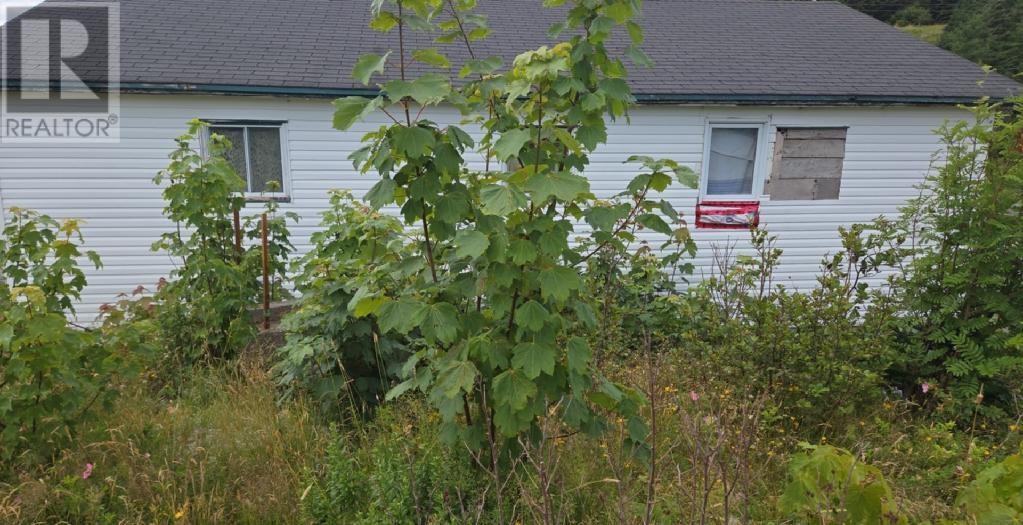 12-16 Tory Road  New Perlican NL A0B 2S0 photo