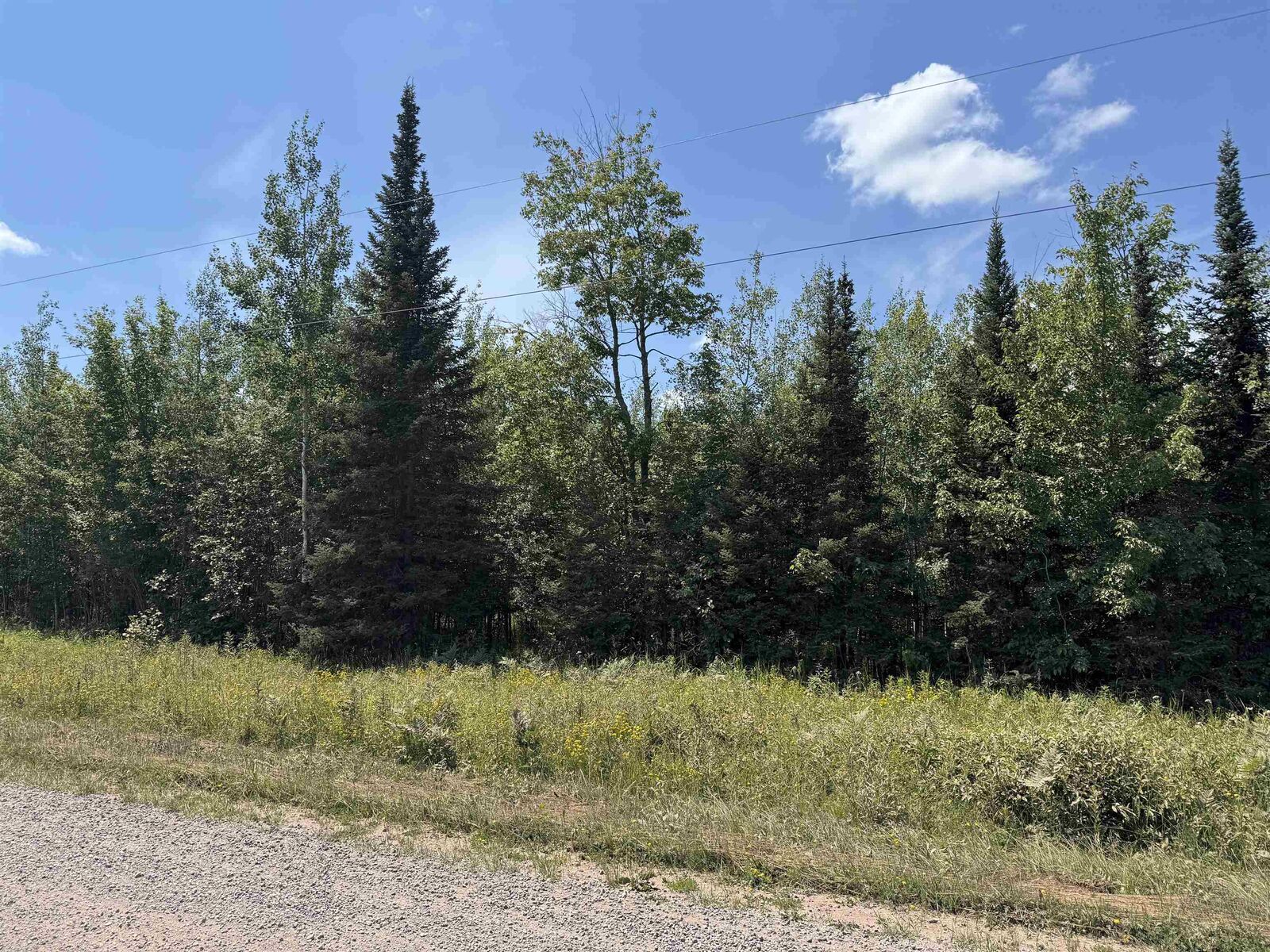 Property Photo:  Xxx S Peterson Rd  WI 54864 