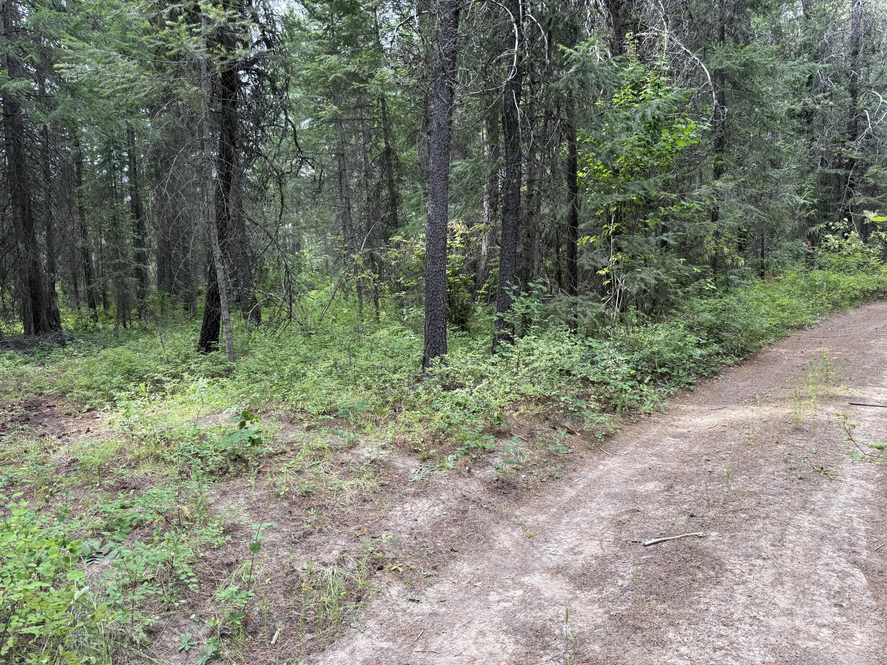 Property Photo: Lot 2 Springdale-Hunters Rd WA 99173
