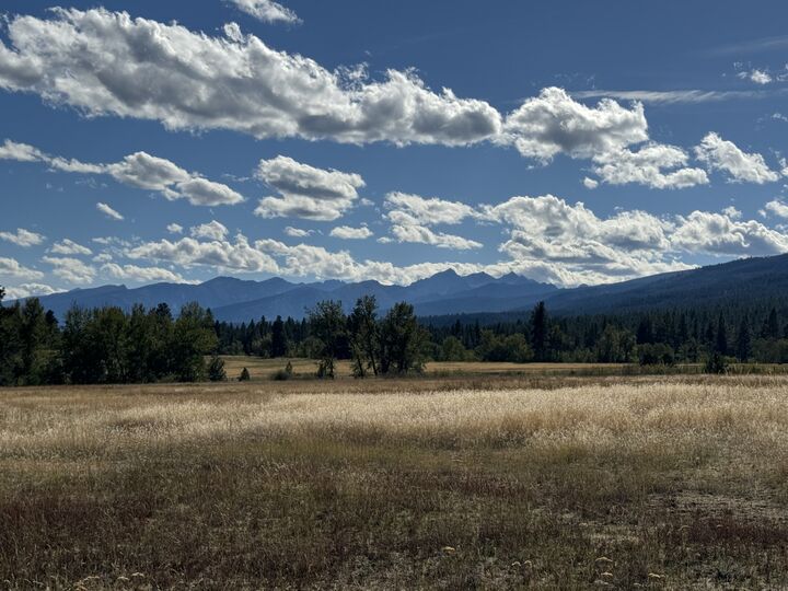 257 N Gold Creek Loop  Hamilton MT 59840 photo