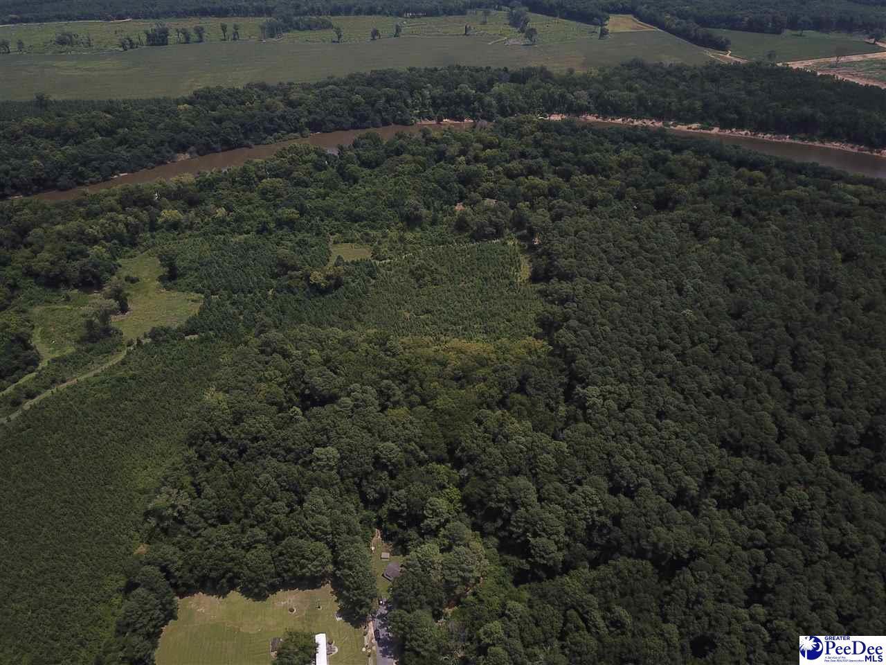 Property Photo:  Tbd Williamson Dr.  SC 29593 