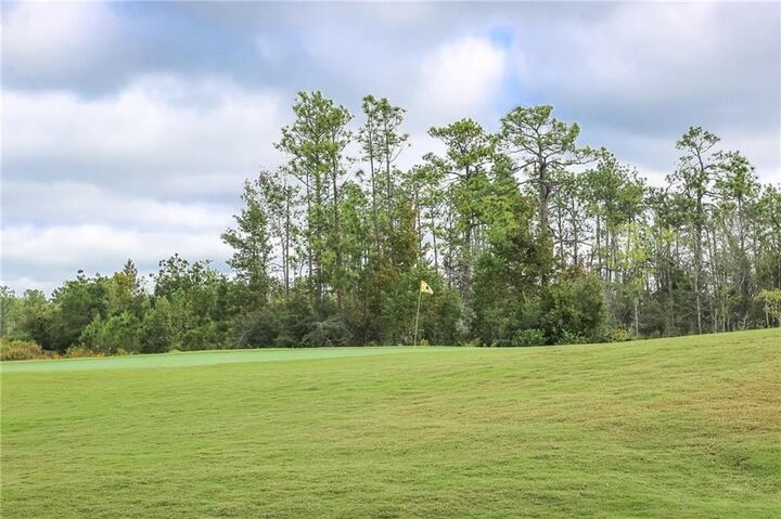 Property Photo:  Hogans Alley  LA 70669 