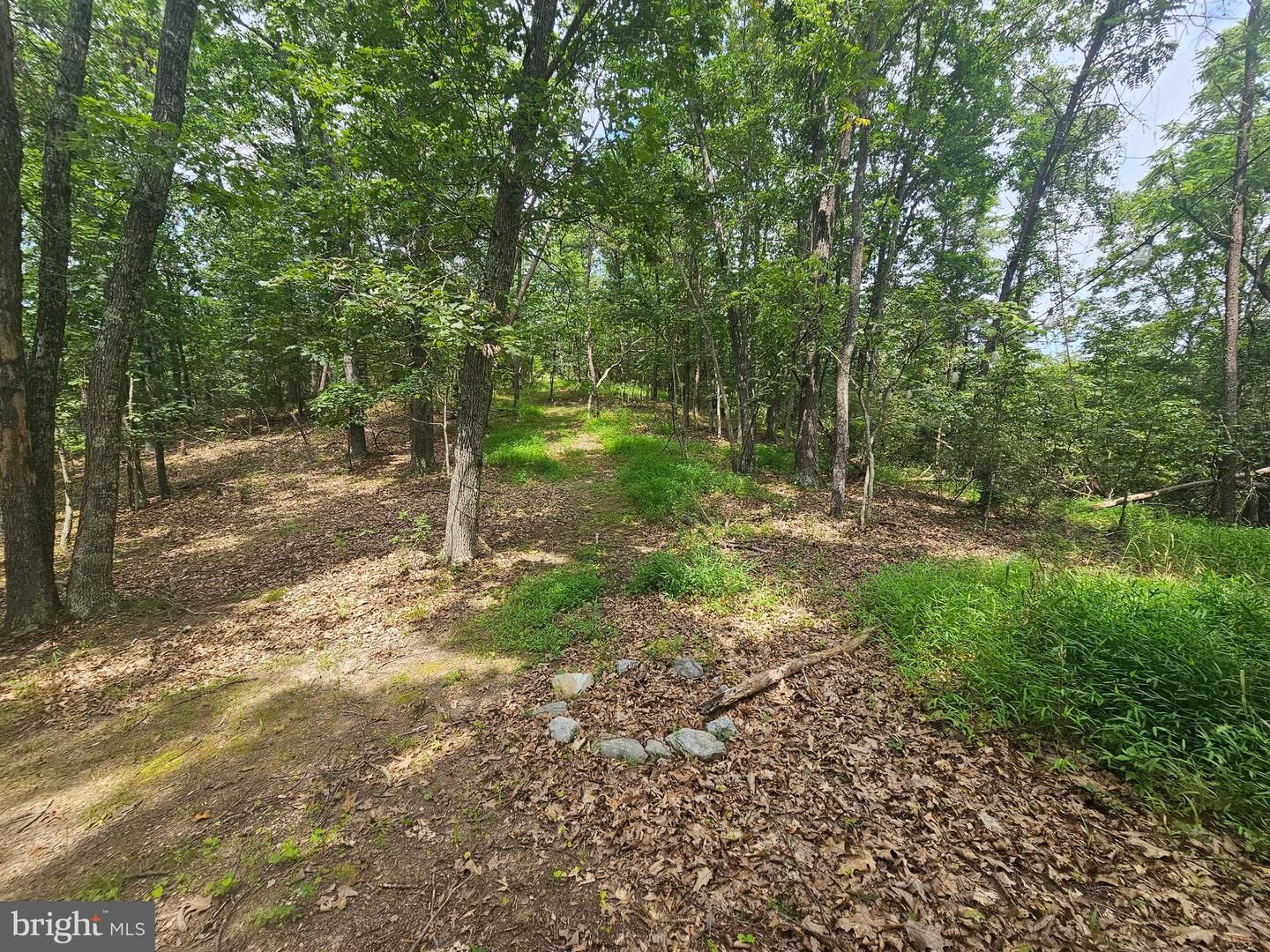 Property Photo:  Pine Way Road  WV 26757 